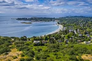 Bay